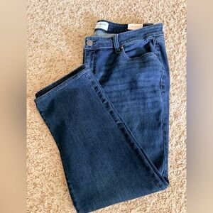 LANE BRYANT JEANS